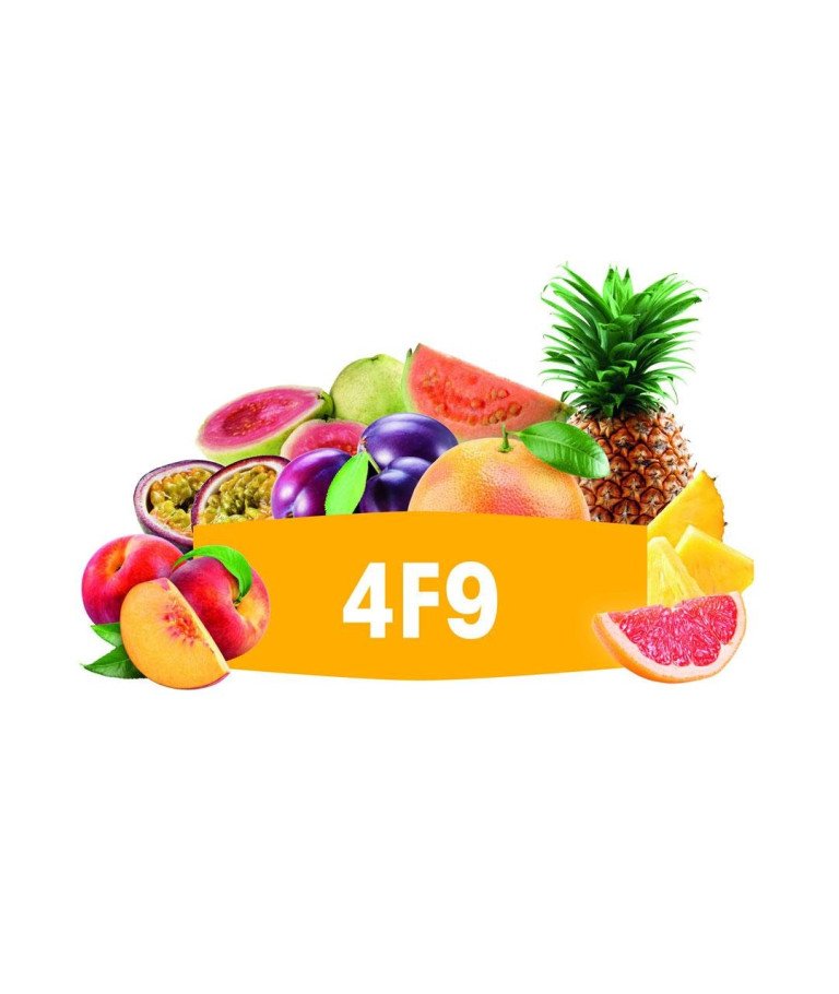 DSM KVASAC Fermivin 4F9 100 G