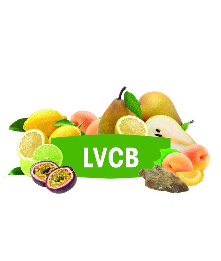 DSM KVASAC Fermivin LVCB 100 G