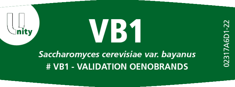 DSM KVASAC Fermivin VB1 100 G
