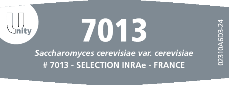 DSM KVASAC Fermivin 7013 100 G