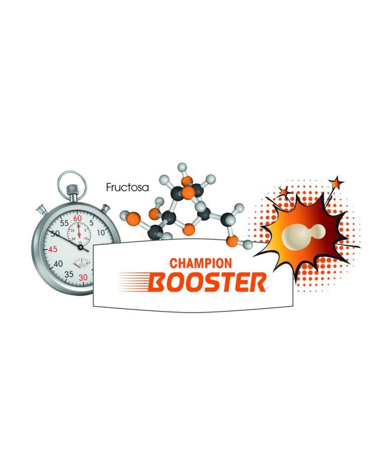 DSM KVASAC Fermivin CHAMPION BOOSTER 100 G