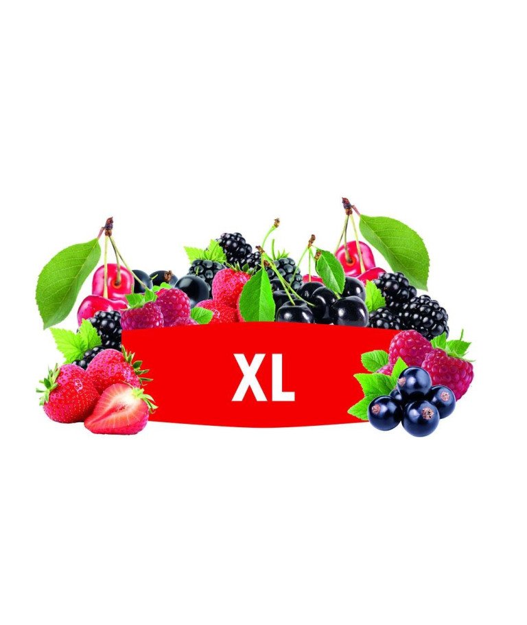 DSM KVASAC Fermivin XL 100 G