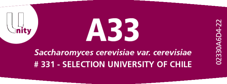 DSM KVASAC Fermivin A33 500 G