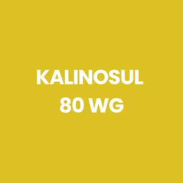 KALINOSUL 80 WG 25 KG