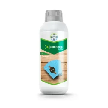 SERENADE ASO SC 1 L