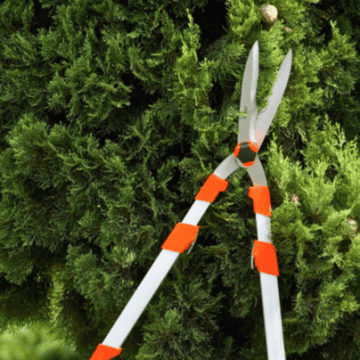 Ručne škare za živicu 73-87 cm Stocker 2090
