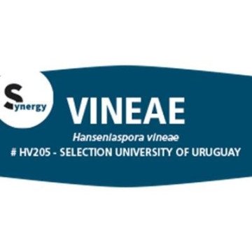 Fermivin VINEAE 500 G