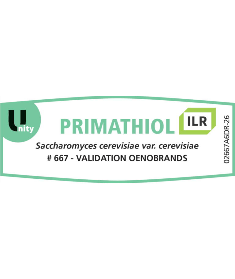 DSM KVASAC PRIMATHIOL-ILR