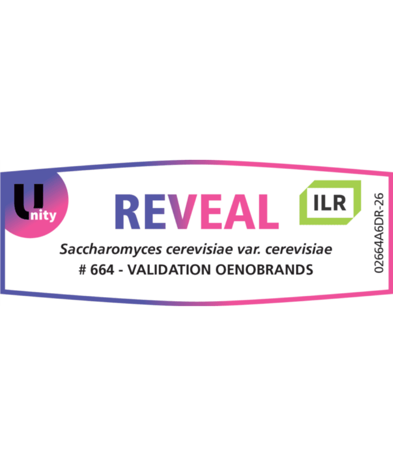 DSM KVASAC REVEAL-ILR