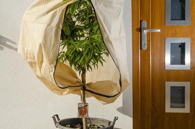 POKRIVAČ ZA BILJKE S VEZICOM I PATENTOM 2x2.4 M