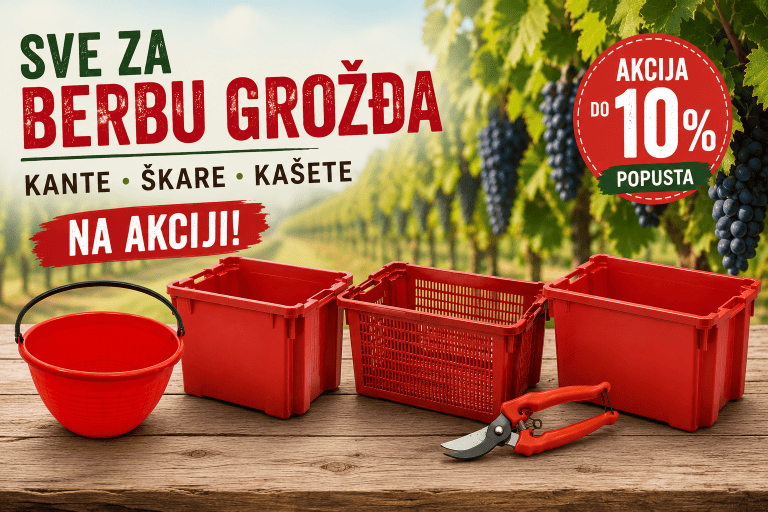 Berba-grozdja-dinamicka-str